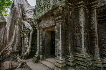 Fototapeta na wymiar Angkor Wat Temples, Cambodia