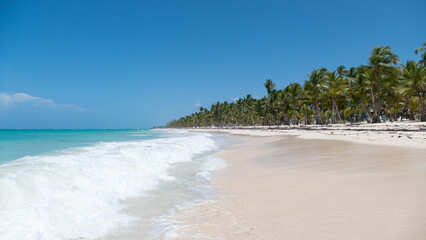 tropical beach with palm trees