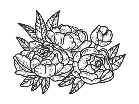 peony flower sketch engraving vector illustration. T-shirt apparel print design. Scratch board imitation. Black and white hand drawn image.