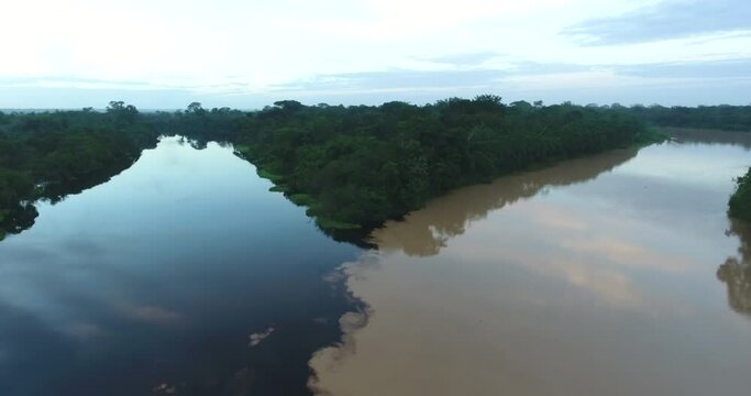 Blue and Brown Amazon Rainforest Rivers Surrounded by Pristine Luxuriant Green Jungle Cross Their Way and Get Mixed Together