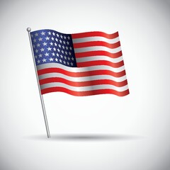 Usa flag