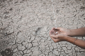 The little boy waiting for drinking water to live through this drought, Concept drought and crisis environment.