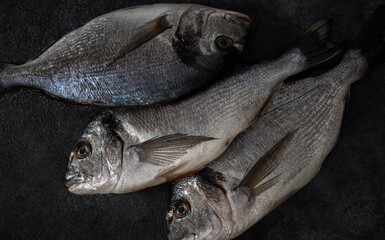 Fresh raw dorado fish on dark background top view