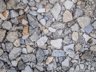 rocks are on the ground