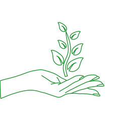 Elegant hand with green plant and leaf. Agricultural organic and natural products sign. healthy lifestyle concept. Sprout or new life logotype.  