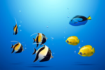 Fototapeta na wymiar Three tropical fish