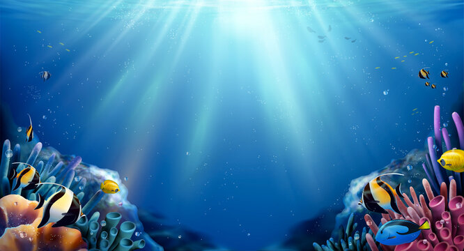 Coral reefs and fish background