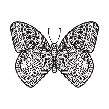 Butterfly monochrome design