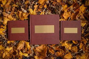 Three leather brown books with a gold nameplate on a background of brown leaves. One book is bigger than the others. Family album, photo book. Place for text.