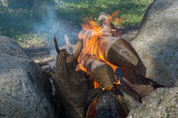 The red flame of a smoky fire, built among large gray boulders, devouring long, massive logs against a background of green grass. One of the logs resembles the horned head of an imp or animal.