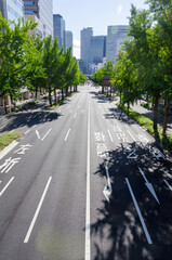 真っ直ぐに進む道