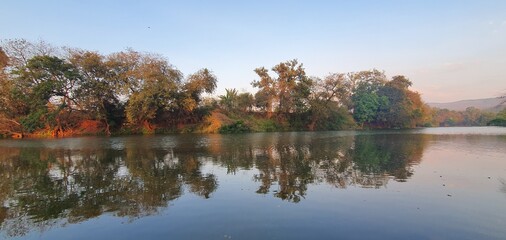 trees reflected in water