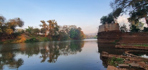reflection of trees in water
