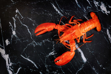 Red prepared whole lobster on marble background.