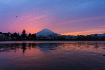 春の富士山(４月)