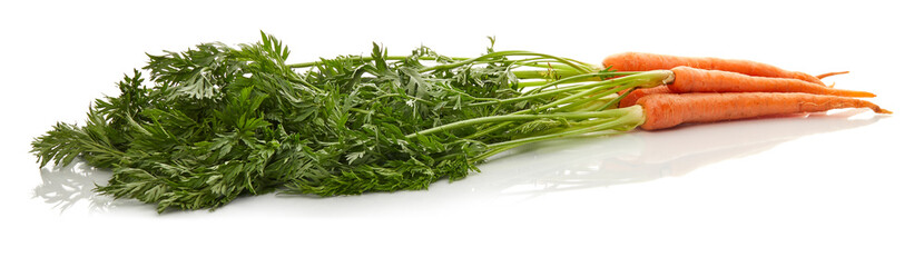 Carrot Isolated on White Background