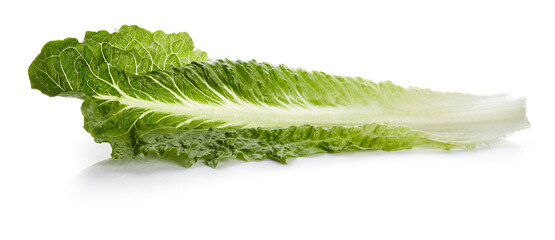 Romaine Lettuce Isolated on White Background