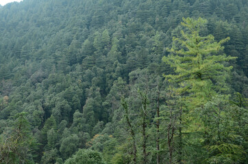 Natural Location Himachal pradesh India