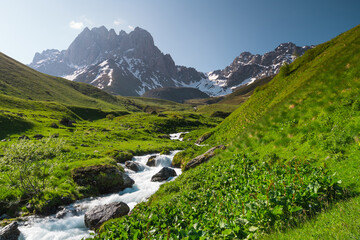 Small stream water in Juta valley in summer season, Caucasus mountains range in Georgia country