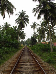 Fototapeta na wymiar The railway in Sri Lanka, West Coast, Indian Ocean