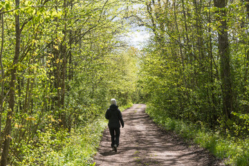 Fototapeta premium Person on a footpath in a bright green forest