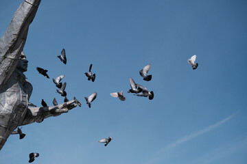 pigeons are flying over a historical monument