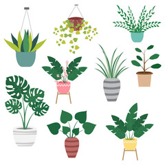 Houseplants in pots decorative set on white background. House indoor plants collection. Vector illustration.