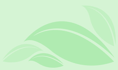 leaf graphic green soft for the background, pattern leaf light green graphic for copy space, nature background with leaves graphic, leaves soft pastel colors for art line and natural wallpaper
