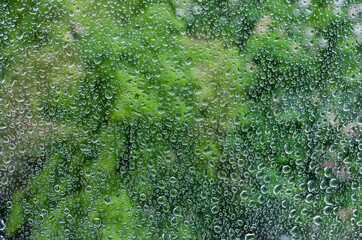 Obraz premium Water drops on glass window