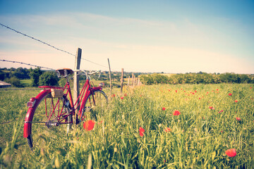 Vieux vélo rouge dans un paysage de campagne et de coquelicots.