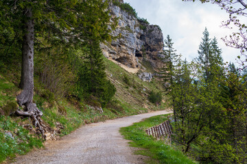 Road in the mountains