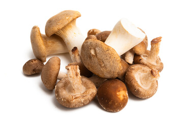 shiitake mushrooms isolated