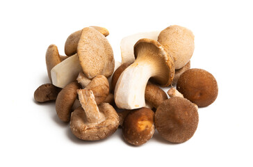 shiitake mushrooms isolated