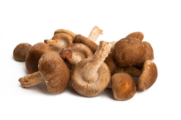 shiitake mushrooms isolated