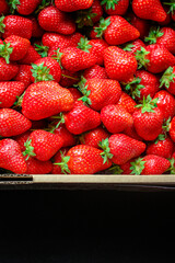 Strawberry ripe and juicy berries concept healthy eating. food background top view copy space for text