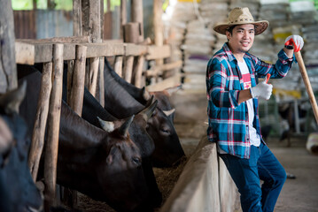 Picture of a handsome Asian man wearing a smiley shirt in cowshed Farmer raising ideas: people and...