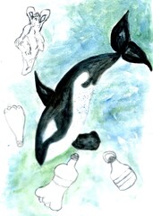 Orca and plastic bottle