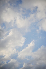 Fototapeta premium 初夏の明るい空