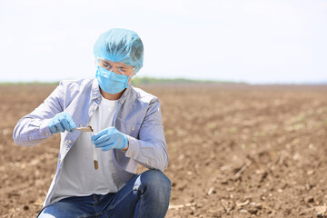 Scientist studying samples of soil in field
