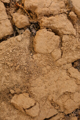 Texture of dry soil, closeup view
