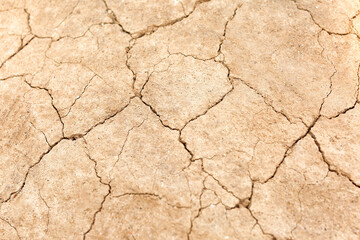 Texture of dry soil, closeup view