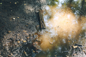 View of wet soil and puddle with petroleum outdoors. Concept of pollution