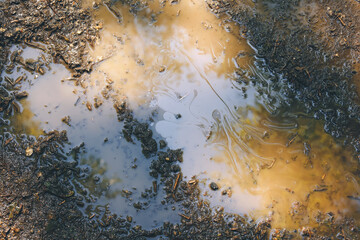 View of wet soil and puddle with petroleum outdoors. Concept of pollution