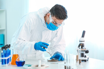 Naklejka na ściany i meble Scientist studying samples of soil in laboratory
