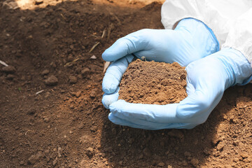 Scientist with sample of soil in field, closeup