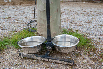 Zwei Näpfe aus Metall für Wasser zum Trinken für Hunde gesehen an einem Restaurant.