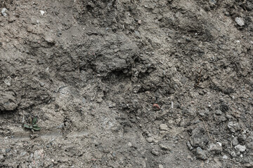 View of mountain surface outdoors