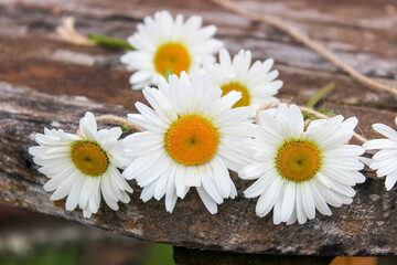 Obraz premium Daisy flower on a rope and on a wooden surface