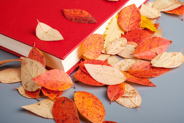 the edge of the red book near which are the fallen autumn leaves