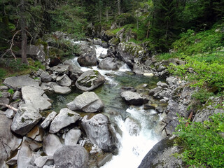 Rivière des pyrénées